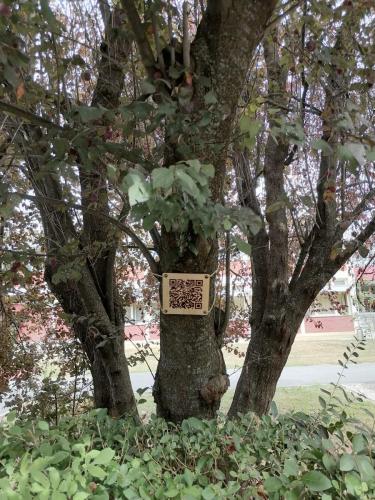 Pločica sa QR kodom