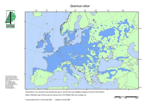 Quercus robur areal